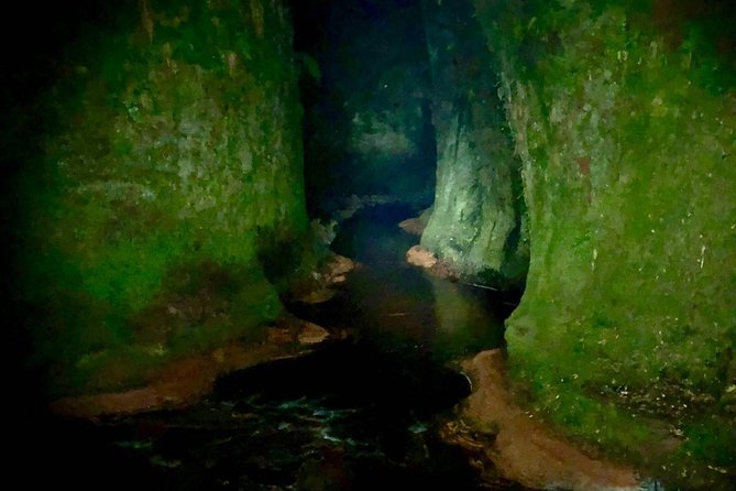 Join the Dark Side of Magical Nature - The journey from 19 Killermont Street