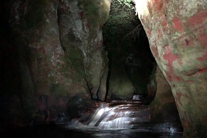 Join the Dark Side of Magical Nature - Who will enjoy this unusual Glasgow outing?