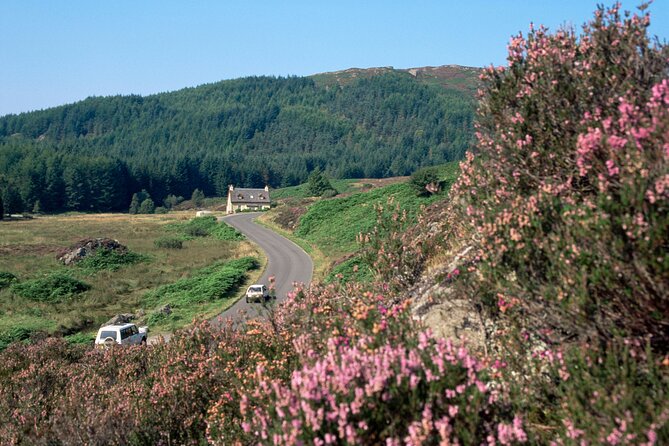 Loch Lomond National Park & Stirling Castle Full Day Tour - Key points to know before booking