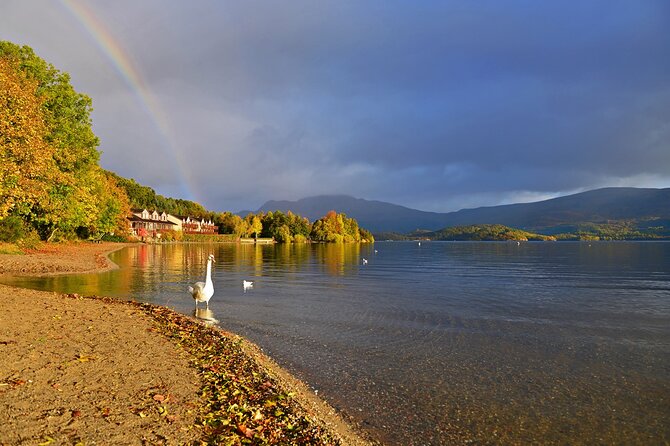 Loch Lomond National Park & Stirling Castle Full Day Tour - Balloch: cruise the loch or stay on shore