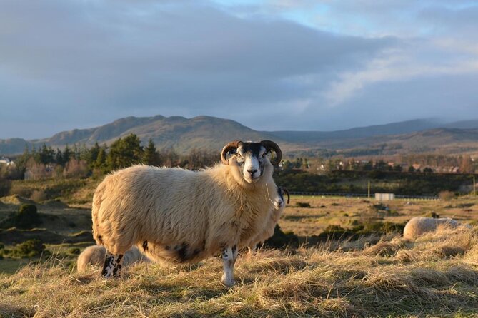 Loch Ness and the Highlands Experience Bus Tour from Edinburgh - Key points at a glance