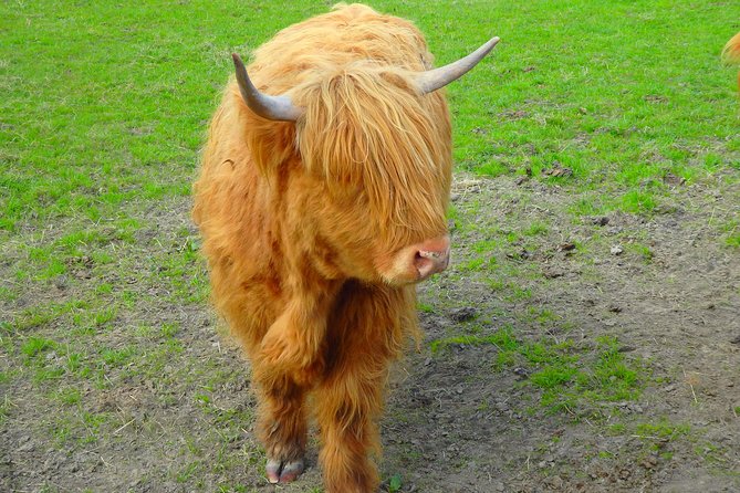 Loch Ness & Culloden Battlefield Private Tour from Inverness - The guide is the real difference