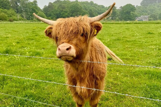 Loch Ness, Culloden, Clava and whisky/gin tour from Inverness. - Loch Ness and Drumnadrochit in 30 minutes