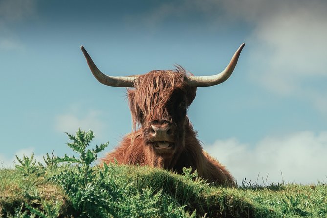 Loch Ness, Glen Coe & The Highlands Day Tour from Edinburgh - Through the Trossachs toward Glencoe