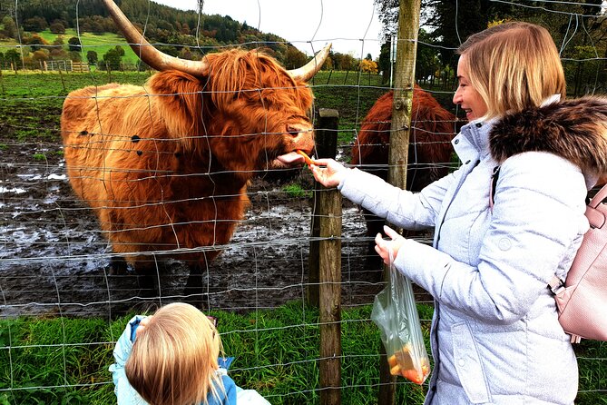 Loch Ness, Glencoe and the Highlands Private Day Tour - Kilmahog brings wool, coffee, and Highland cattle