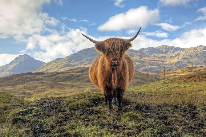 Loch Ness, Glencoe & the Highlands Guided Day Tour from Edinburgh - Urquhart Castle adds history beside Loch Ness