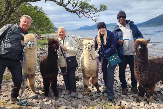 Loch Ness with Castles, Beaches, Mountains and MONSTERS - Starting at Loch Ness Alpacas
