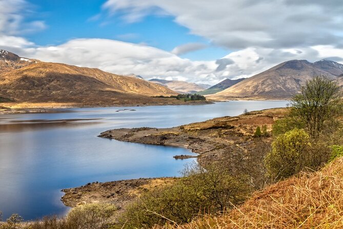 Luxury Private Tour of The Highlands & Loch Ness from Edinburgh - Kilmahog and the Highland cows