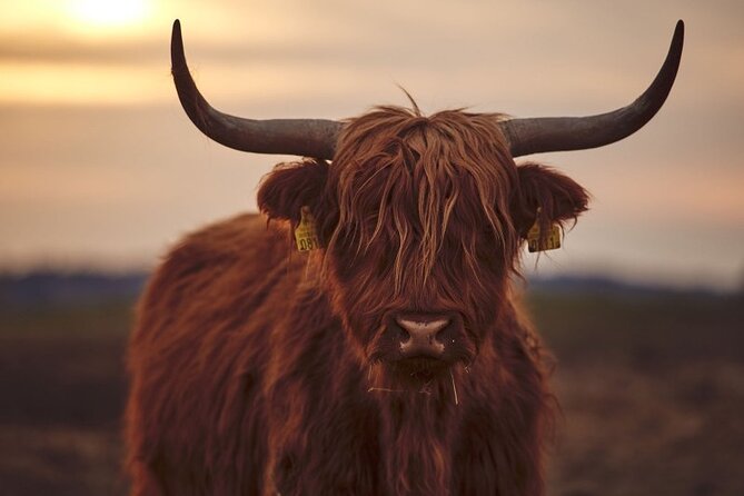 Luxury Private Tour of The Highlands & Loch Ness from Edinburgh - Through the Trossachs and into Glencoe