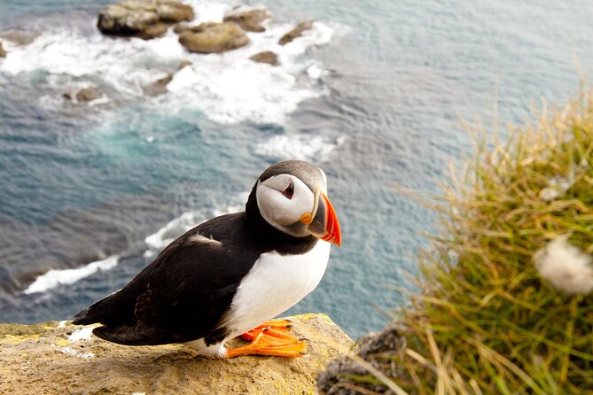 North East Coastal Trail Small Group Day Tour from Aberdeen - Bow Fiddle Rock gives you the classic photograph