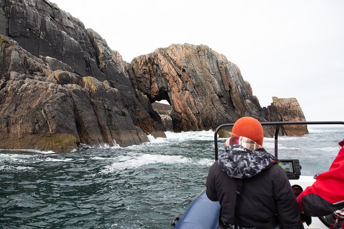 Northern Islands RIB Tour - Wildlife watching without promises