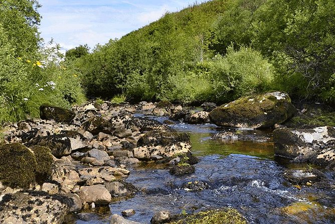 Oban and the West Highlands Day Trip from Glasgow - The guide can make or break the coach time