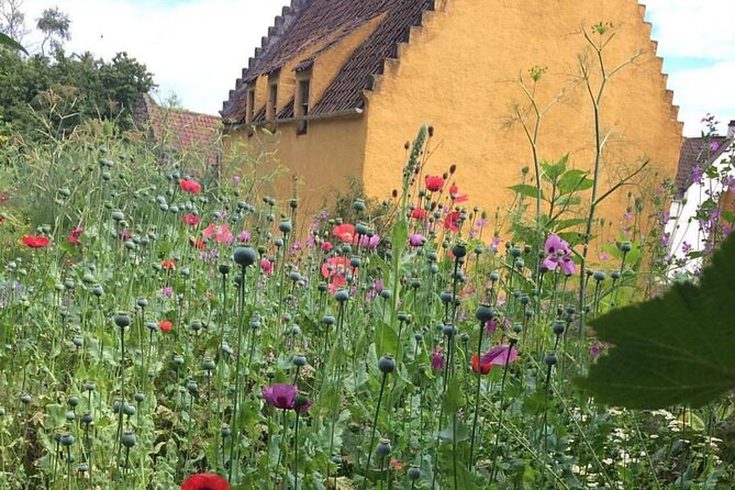 Outlander Day Tour from Glasgow - Culross, cobbled streets and the Cranesmuir setting