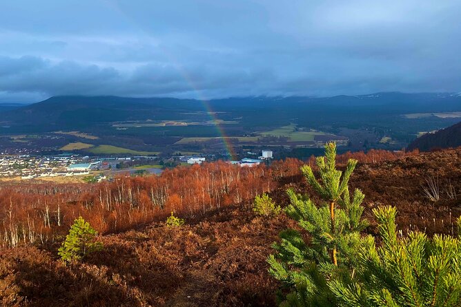 Private Cairngorm National Park tour - Key points to know before booking