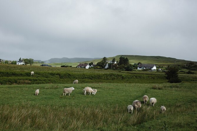 Private Full-Day Tour to the Scottish Highlands and Loch Ness - Why this private Highland day works