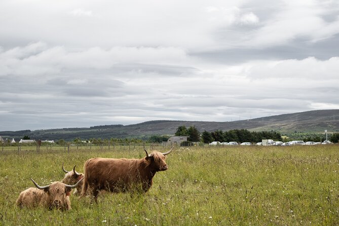 Private Full-Day Tour to the Scottish Highlands and Loch Ness - Fort Augustus puts you beside Loch Ness