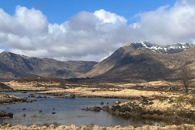 Private Guided Day Tour in Scottish Highlands - Highland cattle at Kilmahog
