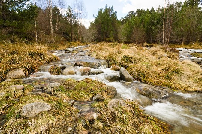 Private Guided Mountain Walking Experience in the Cairngorms - Key points at a glance