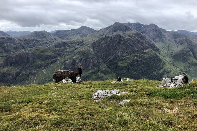 Private Guided Mountain Walking Experience in the Cairngorms - Is $196.08 per person good value?