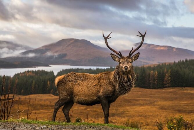 Private Isle of Skye Tour - Key points to know before you book