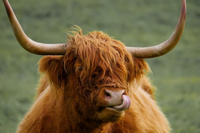 Private Luxury Mini Highlands Tour From Edinburgh - Braveheart - Kilmahog offers the most hands-on moment