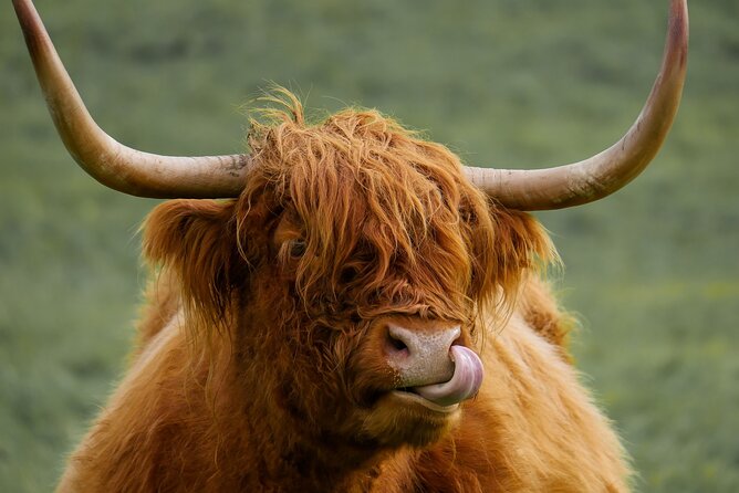 Private Luxury Tour of Loch Lomond, Glencoe & The Highlands - Forth Bridges and the Kelpies begin the morning