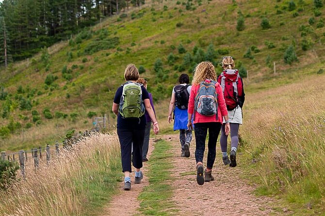 Private Mindfulness and Nature Walk in Edinburgh - Arthur’s Seat without the usual rush