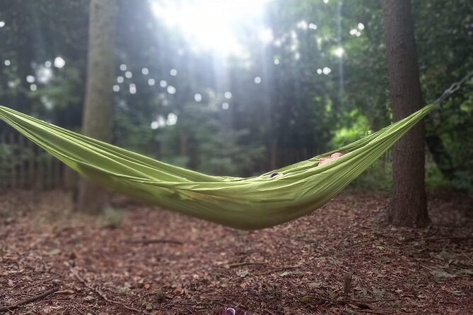 Private Mindfulness and Nature Walk in Edinburgh - What the 90-minute session feels like