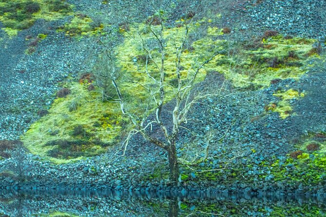 Private Tour of Highlands, Oban, Glencoe, Lochs & Castles from Glasgow - Glencoe and the Three Sisters