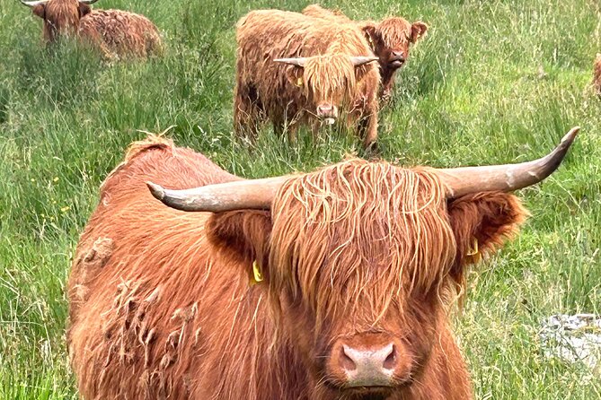 Private Tour of Loch Ness, Glencoe and Highlands from Edinburgh - Price, vehicle, and comfort