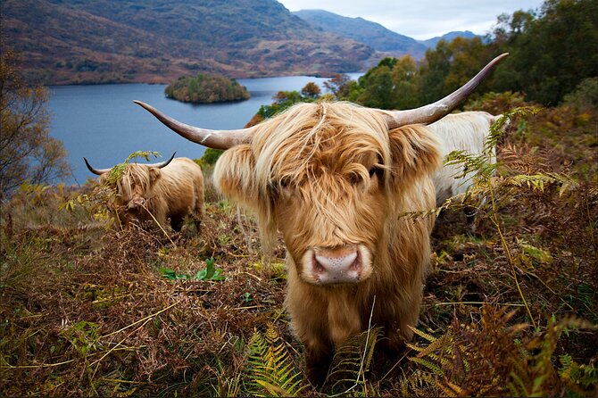 Private Tour of Loch Ness, Glencoe and Highlands from Edinburgh - The Commando Monument and Ben Nevis country