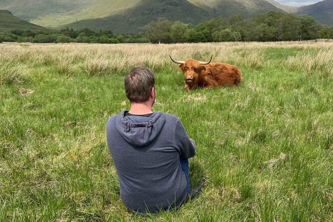 Private Tour to the Stunning Scottish Highlands & Glencoe - Kilchurn Castle: a short walk to a Highland ruin