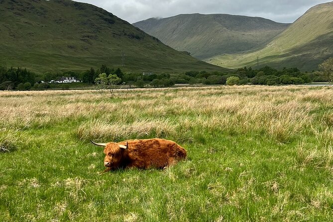 Private Tour to the Stunning Scottish Highlands & Glencoe - What Justin Richards adds to the drive