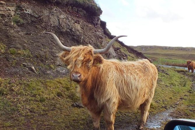 Scotland Tours - One hour in Glasgow’s West End
