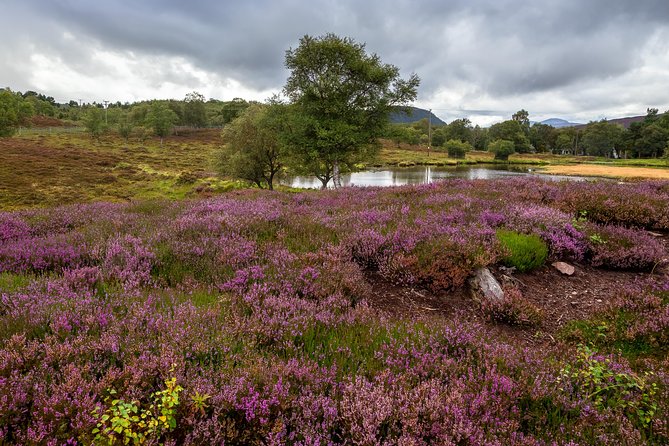 Scottish Highland Games Day Trip from Edinburgh - Braemar on September 6