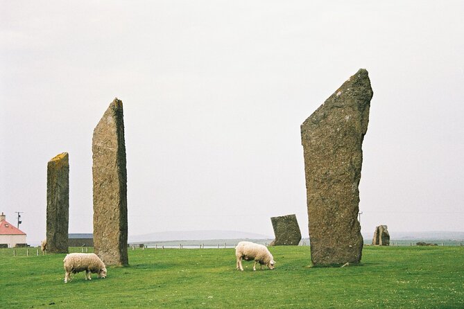 Shore Excursion Kirkwall Small Group Highlights of Orkney - Why this Orkney tour works so well from Kirkwall
