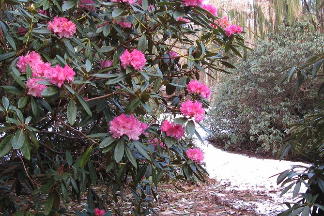 Skip-the-Line: Botanic Garden Entry Ticket - Why the glasshouses are worth finding