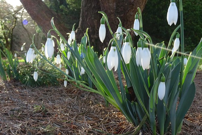 Skip-the-Line: Botanic Garden Entry Ticket - Timing your visit around daylight and seasons