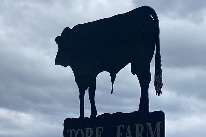 Slow Food Highland Dining and Storytelling in Inverness - Partan bree, the classic Scottish opening