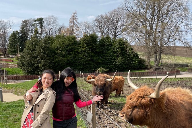 Speyside Whisky Tour - Choosing the right Speyside distilleries