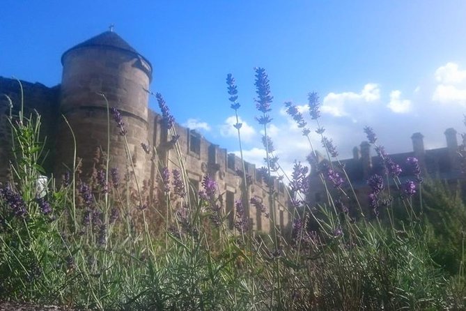 St Andrews, Falkland and Fife Villages Tour from Edinburgh - Anstruther Harbour and the East Neuk feel