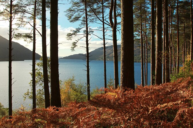 Stirling Castle, Loch Lomond and Cruise Day Tour from Glasgow - Who should book this tour?