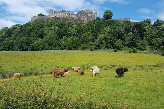 Stirling Castle, Trossachs and Loch Lomond Shore Excursion - Group size, transport, and physical demands