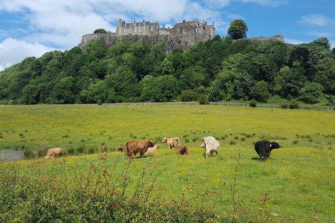 Stirling Castle, Trossachs, Loch Lomond and Whisky Tour - Loch Lubnaig and a quick Trossachs pause