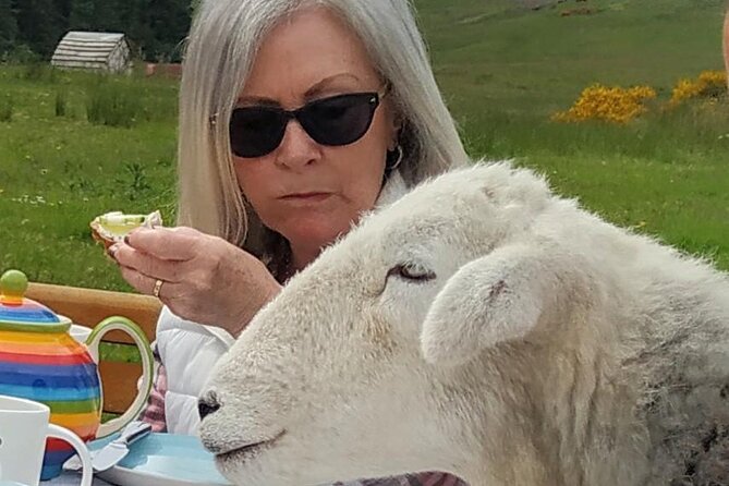 Tea with Naughty Sheep - Why the small group matters