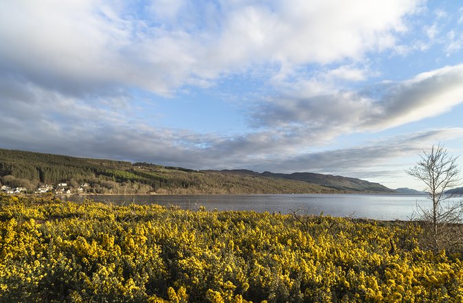 The Complete Loch Ness Experience Small-Group Day Tour from Inverness - The Falls of Foyers add a worthwhile walk