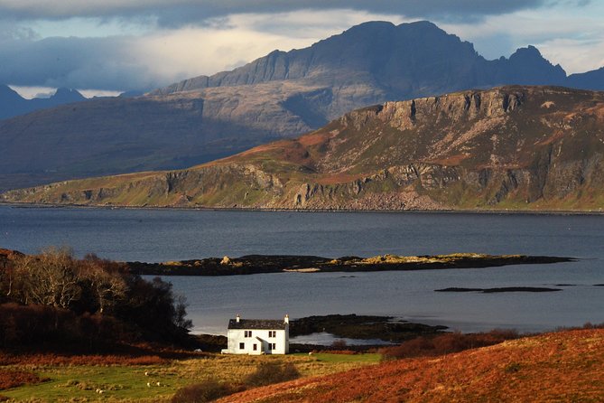 Wildlife Watching Safari by Vehicle & Walks / Photography workshops with a Guide - A private search for Skye’s wild animals